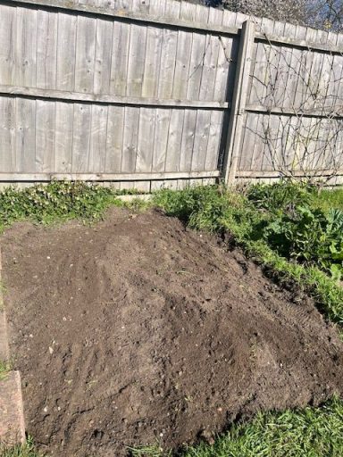 An after picture of a future allotment
