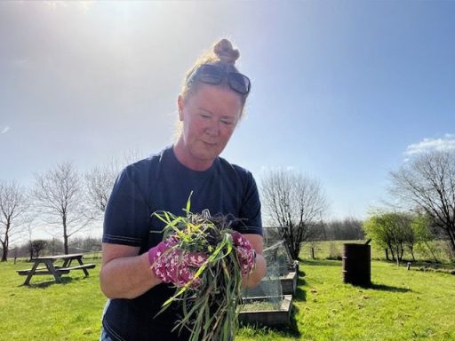 Clearing soil & worms from a plant